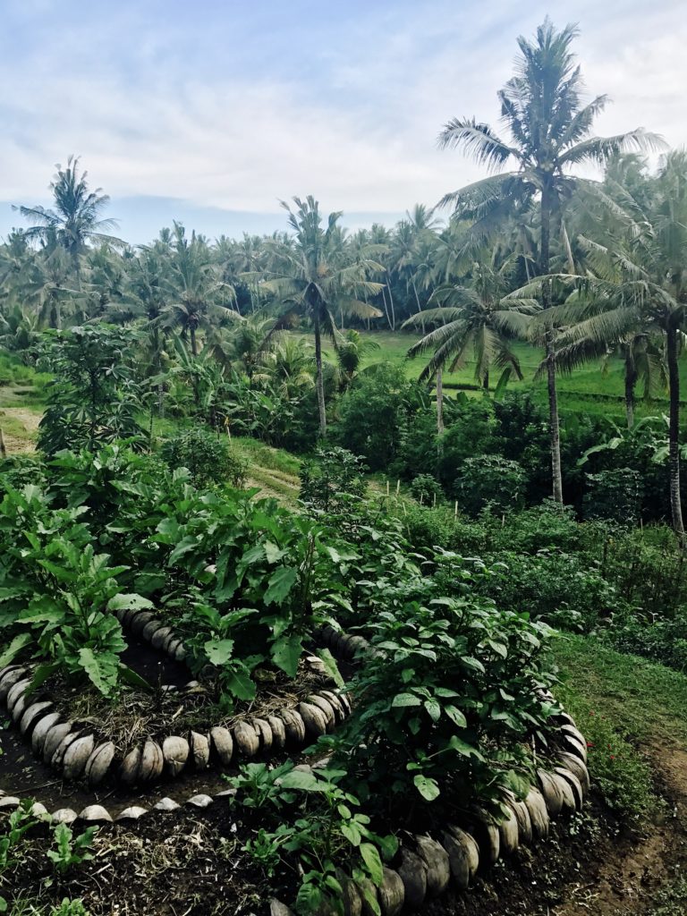 clean island: bali, part 1 (ubud) -Prompted by a close friend to…